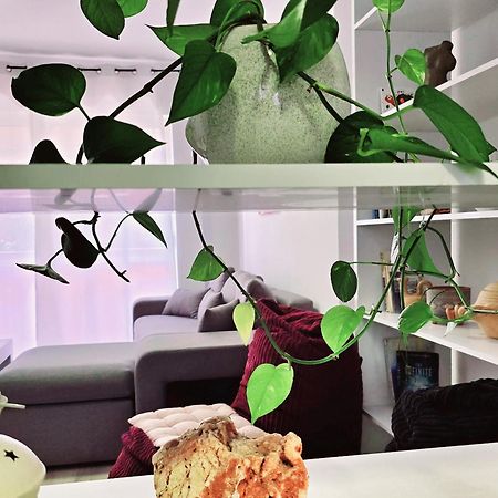 Micasatucasa Tirana Apartman Kültér fotó